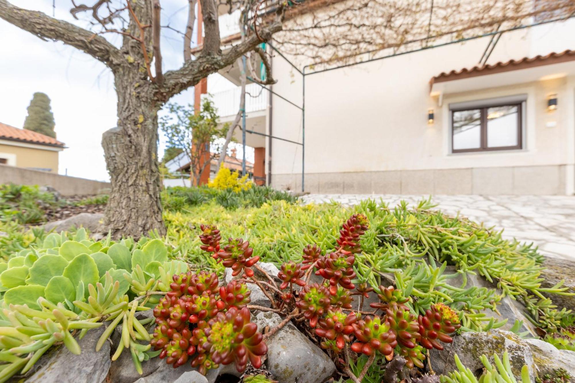 Adriatic Bay Apartments Portorož Eksteriør billede